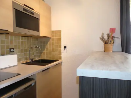 Appartement avec wifi, animaux OK - 5 pers., Appartement 5 personnes à Pralognan la Vanoise : photo 4
