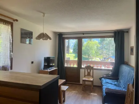 Appartement avec wifi, animaux OK - 5 pers., Appartement 5 personnes à Pralognan la Vanoise : photo 8