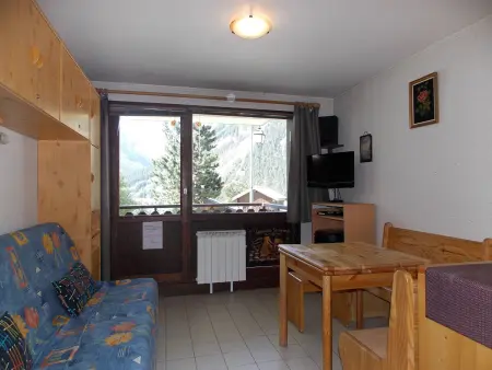 Studio accueillant, animaux admis - 4 pers., Appartement 4 personnes à Pralognan la Vanoise : photo 1