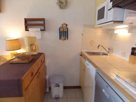 Studio accueillant, animaux admis - 4 pers., Appartement 4 personnes à Pralognan la Vanoise : photo 6
