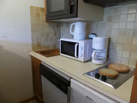 Studio cabine, animaux admis - 4 pers., Appartement 4 personnes à Pralognan la Vanoise : photo 1