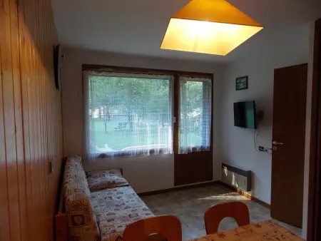 Studio cabine cosy - animaux OK - 4 pers., Appartement 4 personnes à Pralognan la Vanoise : photo 2