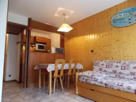 Studio cabine cosy - animaux OK - 4 pers., Appartement 4 personnes à Pralognan la Vanoise : photo 3