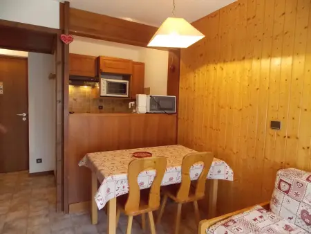 Studio cabine cosy - animaux OK - 4 pers., Appartement 4 personnes à Pralognan la Vanoise : photo 4