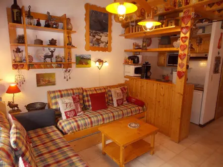 Appartement 3 pièces mezzanine, pistes à 100 m, Pralognan : photo 4