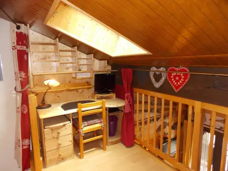 Appartement 3 pièces mezzanine, pistes à 100 m, Pralognan : photo 11