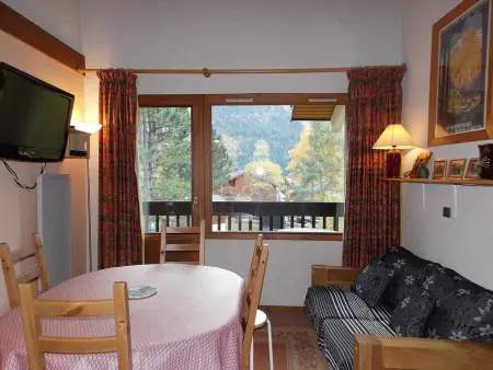 Appartement pratique 6 pers. - Pralognan-la-Vanoise : photo 3
