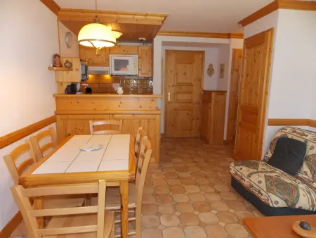 Appartement 2 pièces avec balcon sud-est à Pralognan-la-Vanoise : photo 3