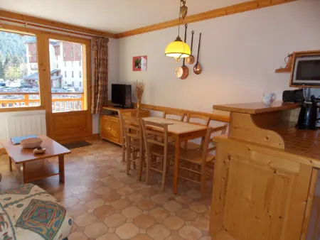 Appartement 2 pièces avec balcon sud-est à Pralognan-la-Vanoise : photo 4