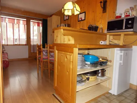 Appartement coquet proche de tout - 4 pers., Appartement 4 personnes à Pralognan la Vanoise : photo 3