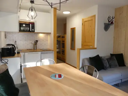 Studio cabine 4 pers. aux pieds des pistes à Pralognan-la-Vanoise : photo 4