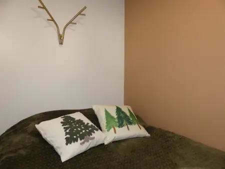 Studio cabine 4 pers. aux pieds des pistes à Pralognan-la-Vanoise : photo 10