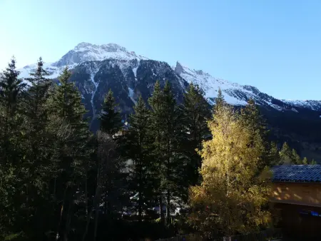 Studio cabine 4 pers. aux pieds des pistes à Pralognan-la-Vanoise : photo 14