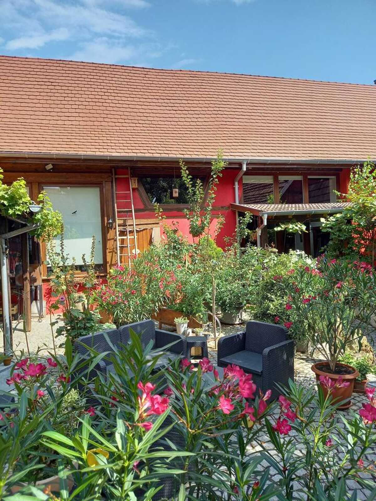 Villa 8 pers. avec piscine privée toute l'année à Olwisheim - Photo 8