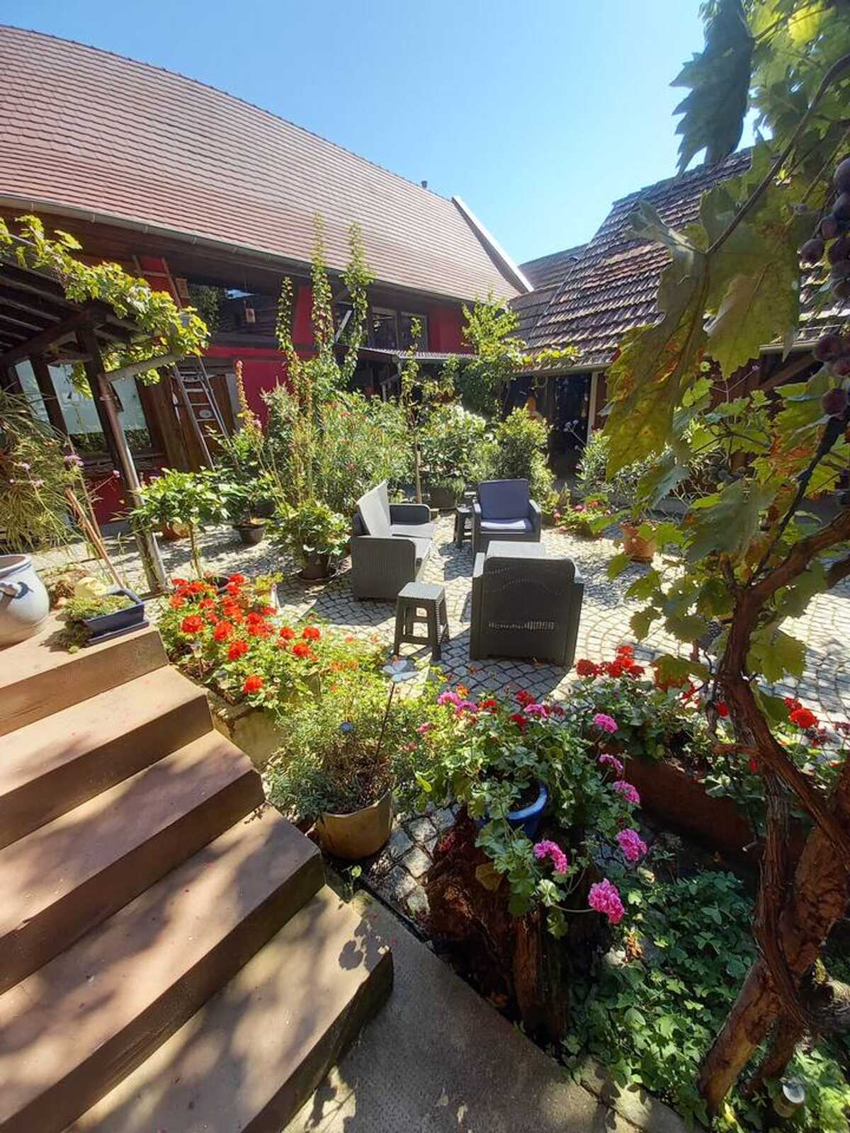 Villa 8 pers. avec piscine privée toute l'année à Olwisheim - Photo 15