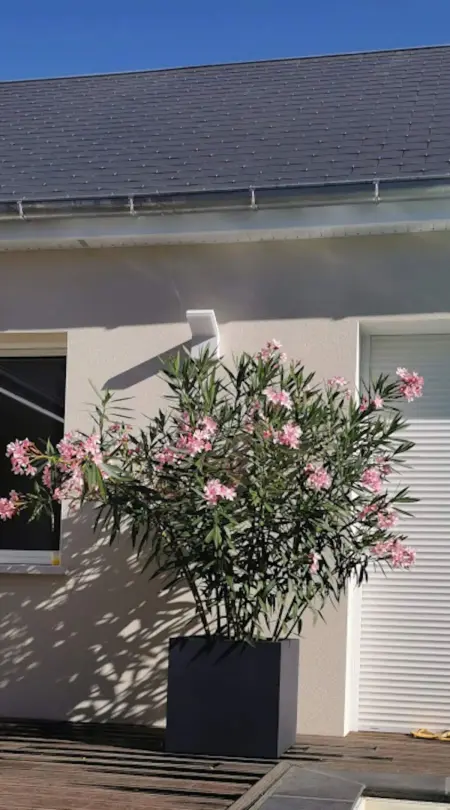 Appartement avec piscine privée et jardin clos à Notre-Dame-d'Oé : photo 14