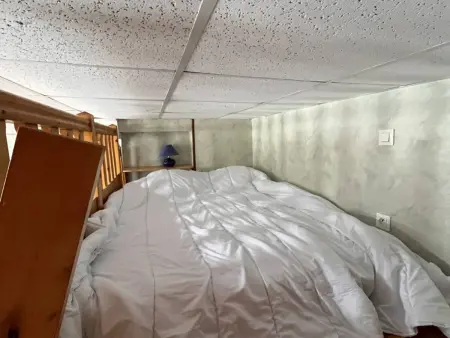 Studio vue montagne à Cauterets, 16 m², mezzanine et 4 couchages : photo 9