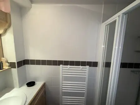 Appartement vue Beaufortain, 2 chambres, Les Saisies : photo 10