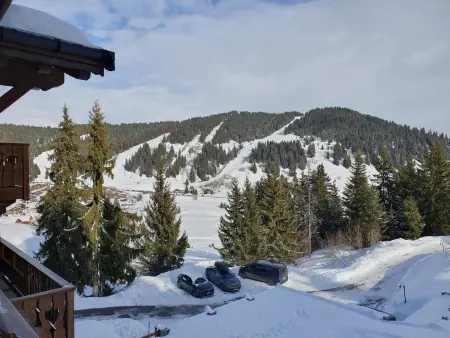 Appartement vue Beaufortain, 2 chambres, Les Saisies : photo 12