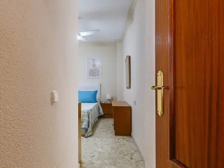 Appartement climatisé, centre-ville - 3 pers., Appartement 3 personnes à Torre del Mar : photo 28