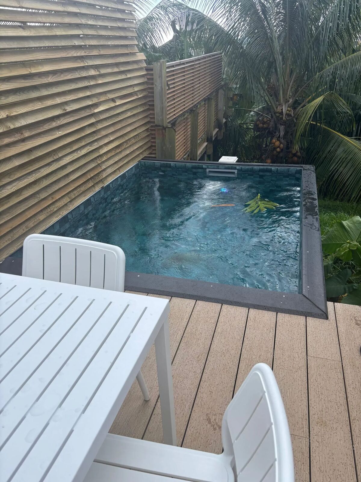 Maison Fort-de-France 29 m² avec piscine, Maison 4 personnes à Fort de France - Photo 11