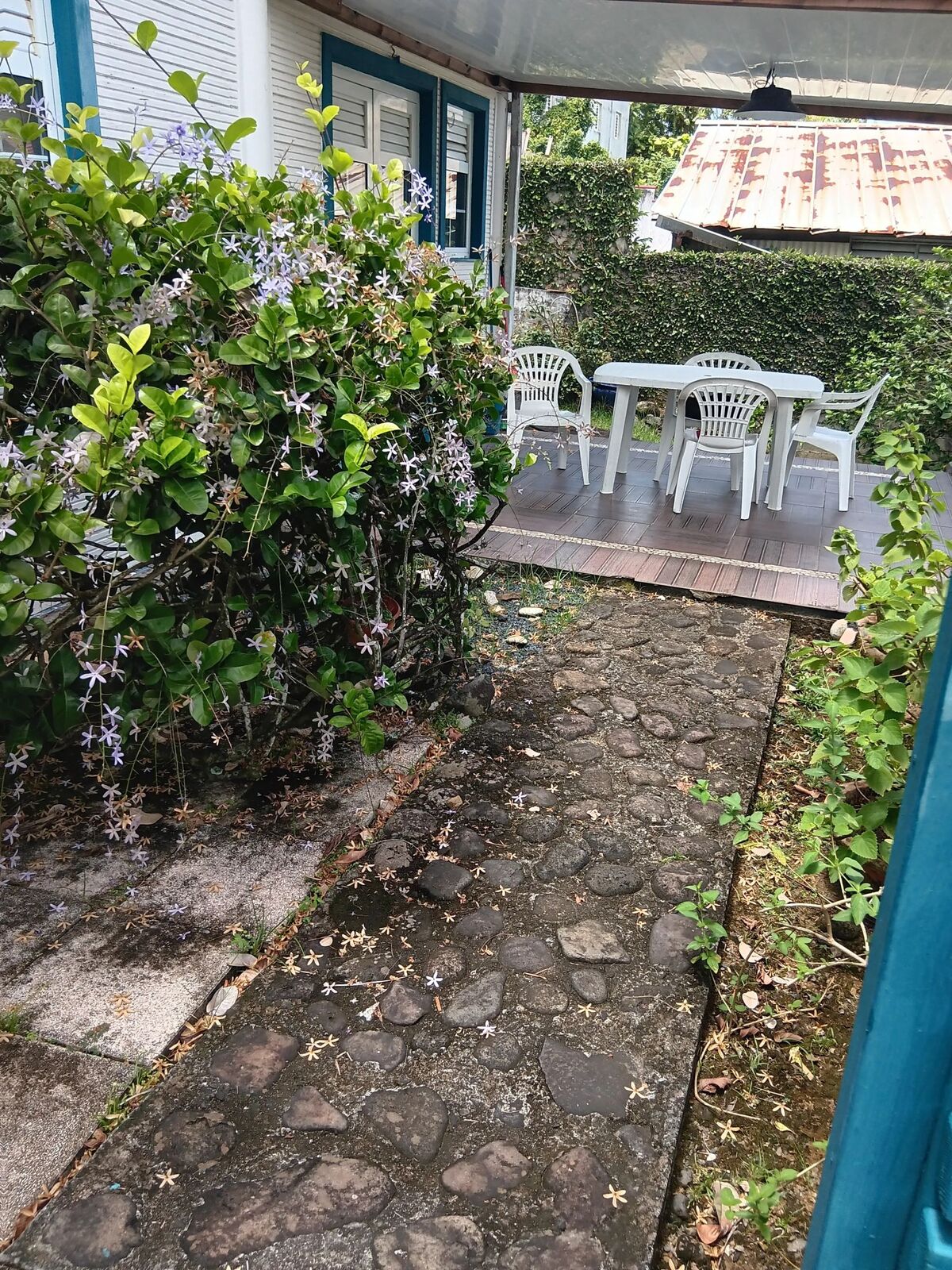 Appartement 50 m² avec piscine partagée à Fort-de-France - Photo 10