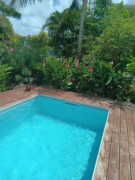 Appartement 50 m² avec piscine partagée à Fort-de-France