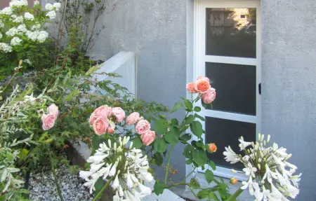 Appartement lumineux plain-pied à Agneaux, près de Saint-Lô : photo 5