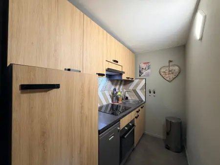 Appartement vue nature - 4 pers., Appartement 4 personnes à Mont Dore : photo 9