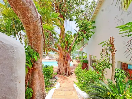 Villa Joelle vue mer panoramique, piscine privée à Saint-Martin : photo 22