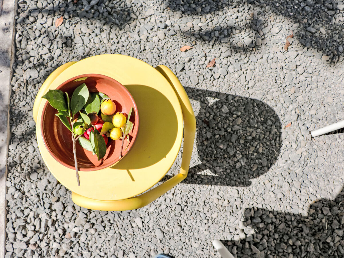 Araça Studio – Maison avec terrasse et jardin à Ponta Delgada - Photo 17