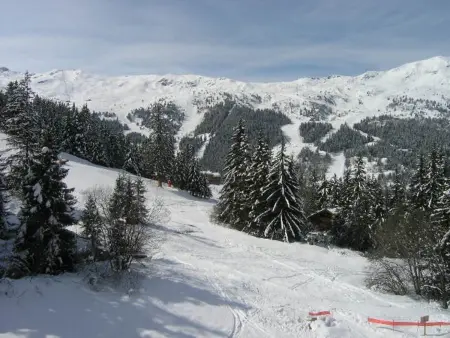 Appartement près des pistes à Méribel, animaux acceptés, 8 pers. : photo 28