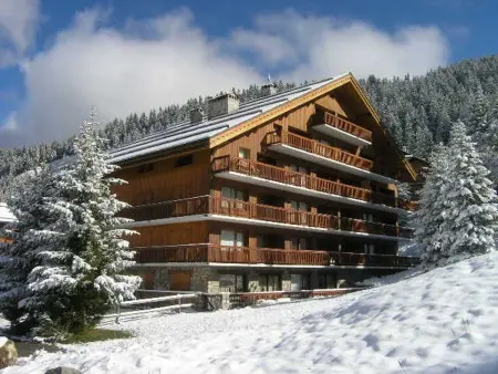 Appartement lumineux à Méribel, pied des pistes et vue montagne : photo 20