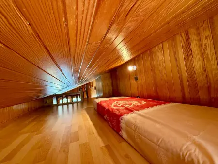 Appartement vue pistes et Beaufortain, balcon plein sud - Les Saisies : photo 11