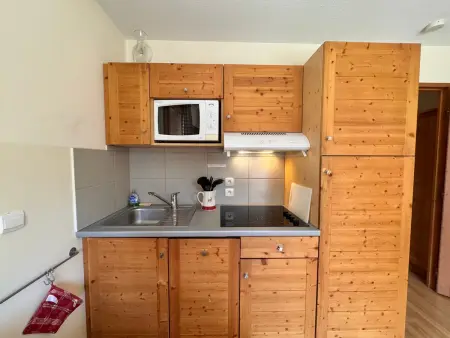 Appartement vue montagne - 4 pers., Appartement 4 personnes à Vars : photo 7
