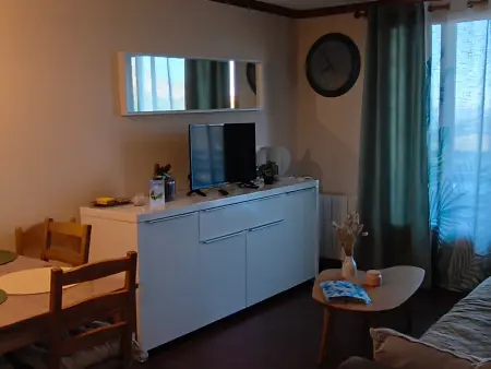 Appartement lumineux vue Plomb du Cantal, Super-Besse, 4 pers. : photo 1