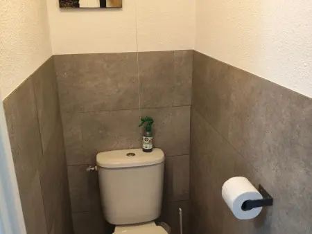 Appartement lumineux vue Plomb du Cantal, Super-Besse, 4 pers. : photo 11