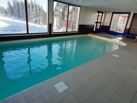 Appartement lumineux vue Plomb du Cantal, Super-Besse, 4 pers. : photo 16