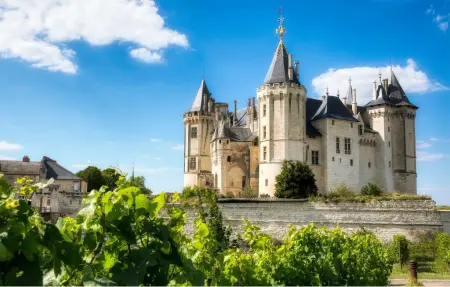 Gîte de la Bergerie au château de Lathan, 10 personnes : photo 23