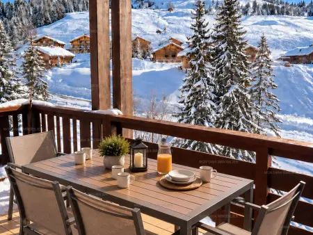 T4 lumineux avec vue sur les pistes, Le Grand-Bornand : photo 12