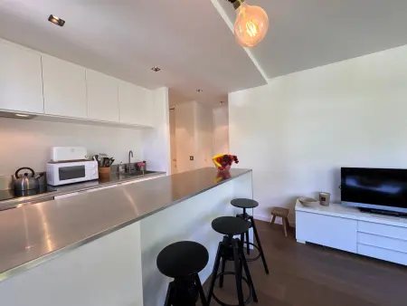 Appartement 55 m² au pied des pistes du Point Show, Vars : photo 7