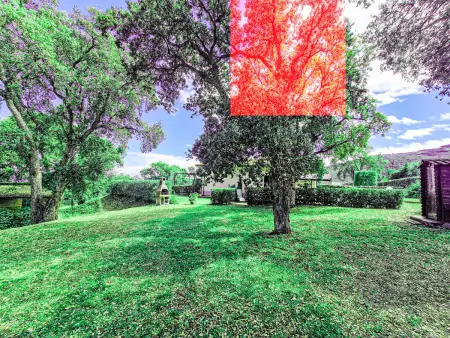 Appartement Le Querce App. Melograno à Capoliveri, vue mer : photo 20