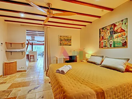 Loft spacieux et lumineux - 6 pers., Appartement 6 personnes à Saint Martin : photo 10