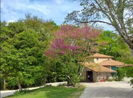 Maison familiale 100 m² avec piscine partagée à Bertric-Burée : photo 9
