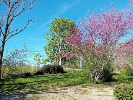 Maison familiale 100 m² avec piscine partagée à Bertric-Burée : photo 21