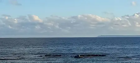 Studio cosy vue mer avec piscine partagée à Saint-François, Guadeloupe : photo 31