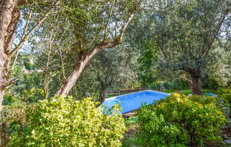Maison toscane avec piscine et oliviers centenaires : photo 12