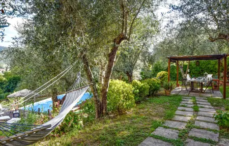 Maison toscane avec piscine et oliviers centenaires : photo 13