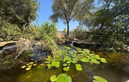 La Casita, maison indépendante avec piscine à Moralet : photo 13