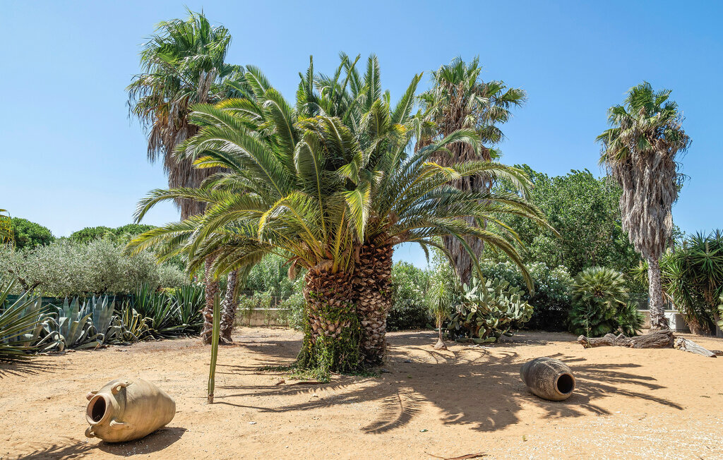 Maison 6 pers. avec piscine et jardin à Menfi - Photo 26